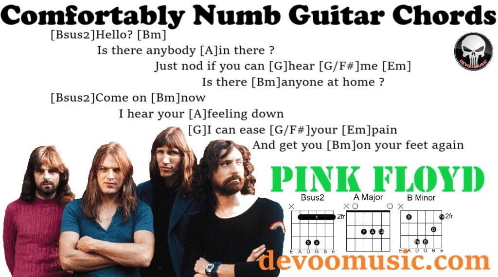 Comfortably Numb Easy Guitar Chords By Pink Floyd 00 - GUITAR KNOWLEDGE