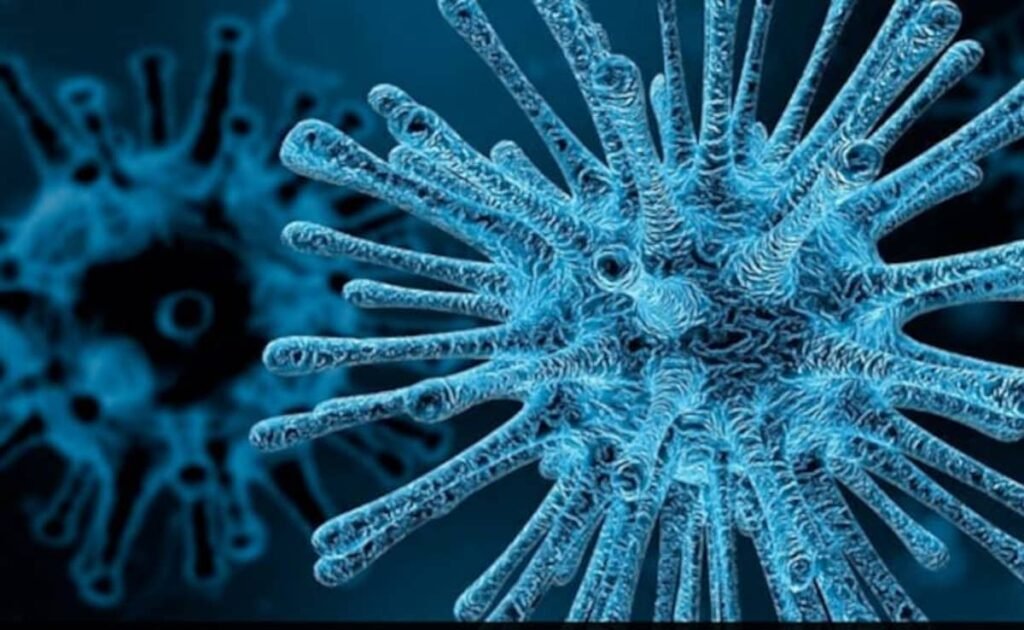 chandipura virus Chandipura virus in Gujarat